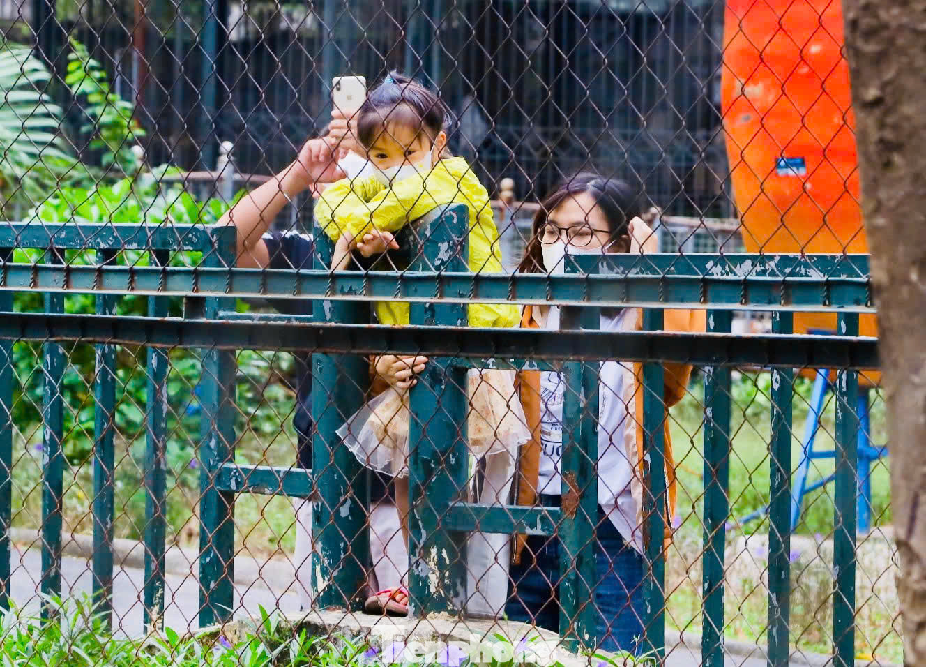 Chú hà mã con dễ thương khiến nhiều người dân Thủ đô thích thú khi ghé thăm.