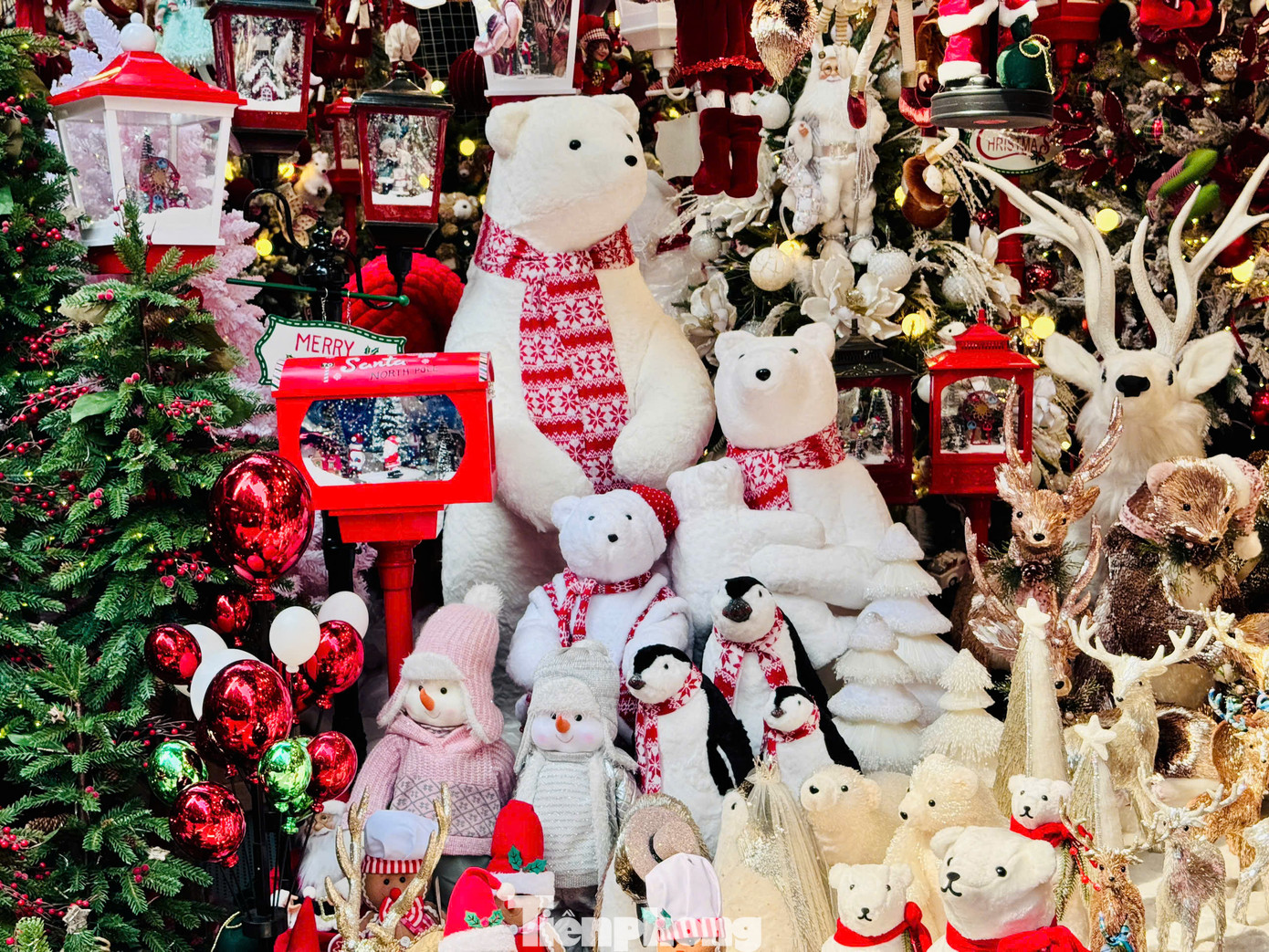 Mọi góc đường đều trở nên nổi bật nhờ những món đồ trang trí bắt mắt, rực rỡ sắc màu Giáng sinh. Dọc theo phố Hàng Mã, từ những cửa hàng nhỏ đến các gian hàng lớn đều được trang hoàng lộng lẫy với đèn lồng, chuỗi đèn led, hình ảnh ông già Noel, cây thông Noel, và rất nhiều phụ kiện trang trí đầy màu sắc...