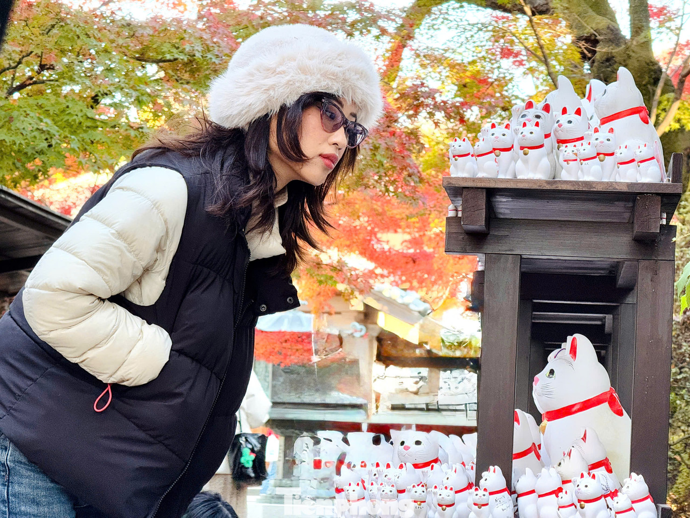 Hàng nghìn con mèo thần tài với đủ màu sắc, kích cỡ và hình dạng khác nhau đã tạo nên một thế giới riêng của những chú mèo đáng yêu và dễ thương. Khi tới đền Gotokuji Tokyo, du khách sẽ được thoải mái chụp ảnh sống ảo cùng những chú mèo thần tài nơi đây.