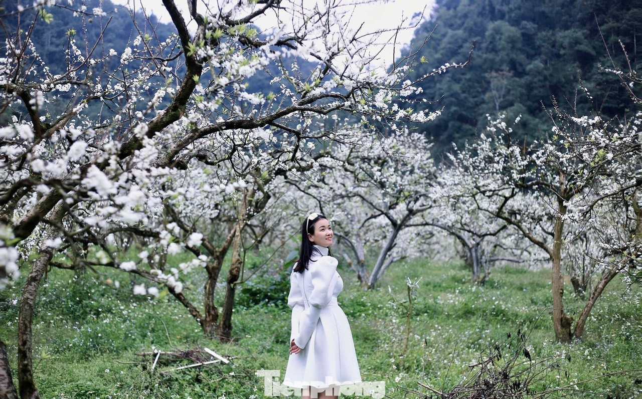 Trước cảnh sắc thiên nhiên hùng vĩ tuyệt đẹp, rất nhiều gia đình và bạn trẻ đã chọn nơi đây làm điểm đến để check-in, chụp ảnh, thỏa sức hòa mình với thiên nhiên. Trước cảnh sắc thiên nhiên hùng vĩ tuyệt đẹp, rất nhiều gia đình và bạn trẻ đã chọn nơi đây làm điểm đến để check-in, chụp ảnh, thỏa sức hòa mình với thiên nhiên.