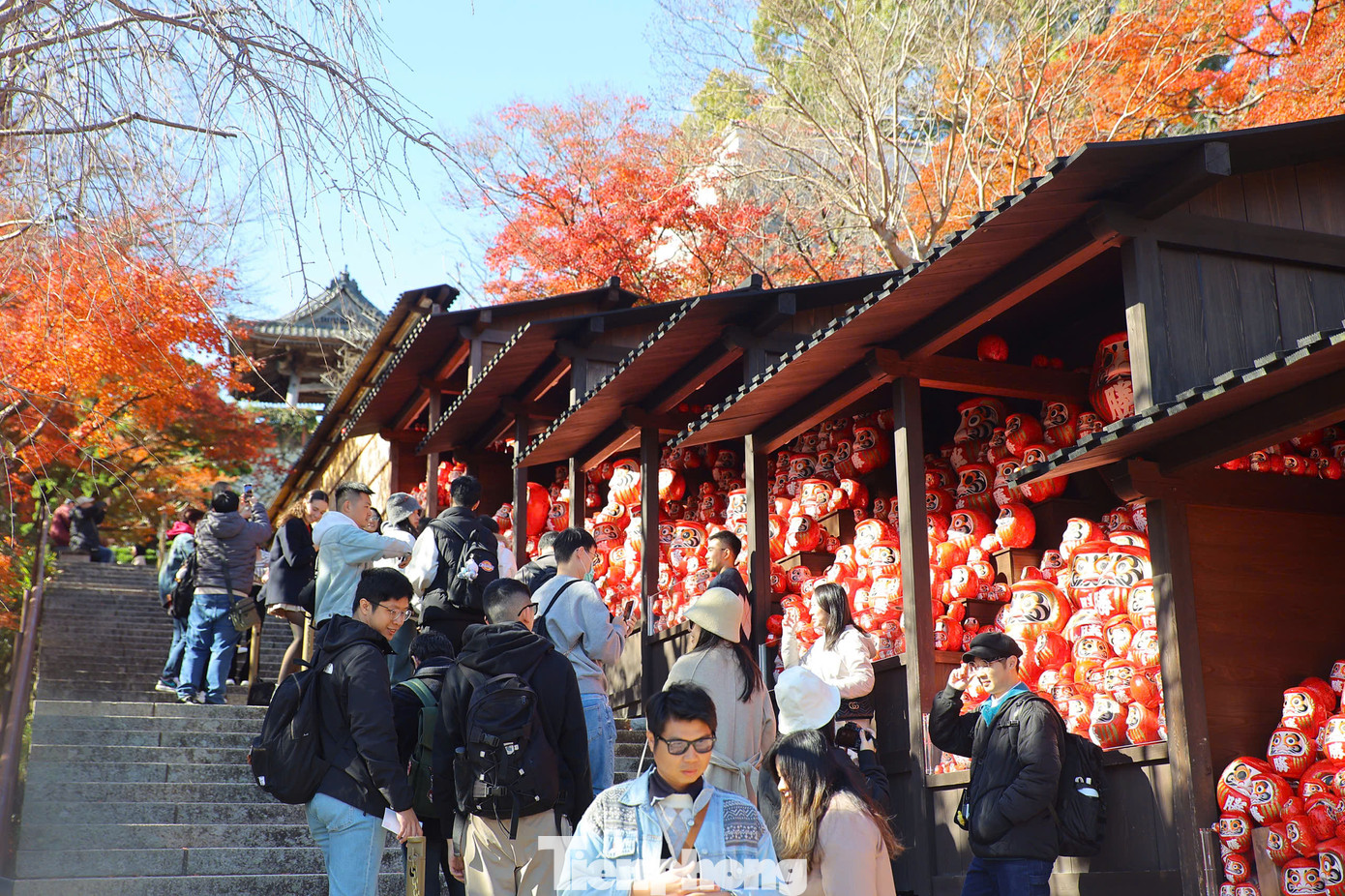 Ngôi chùa này được mệnh danh là chùa may mắn do được bảo hộ bởi búp bê Daruma (linh vật mang lại may mắn theo quan điểm của người Nhật). Ngôi chùa này được mệnh danh là chùa may mắn do được bảo hộ bởi búp bê Daruma (linh vật mang lại may mắn theo quan điểm của người Nhật).