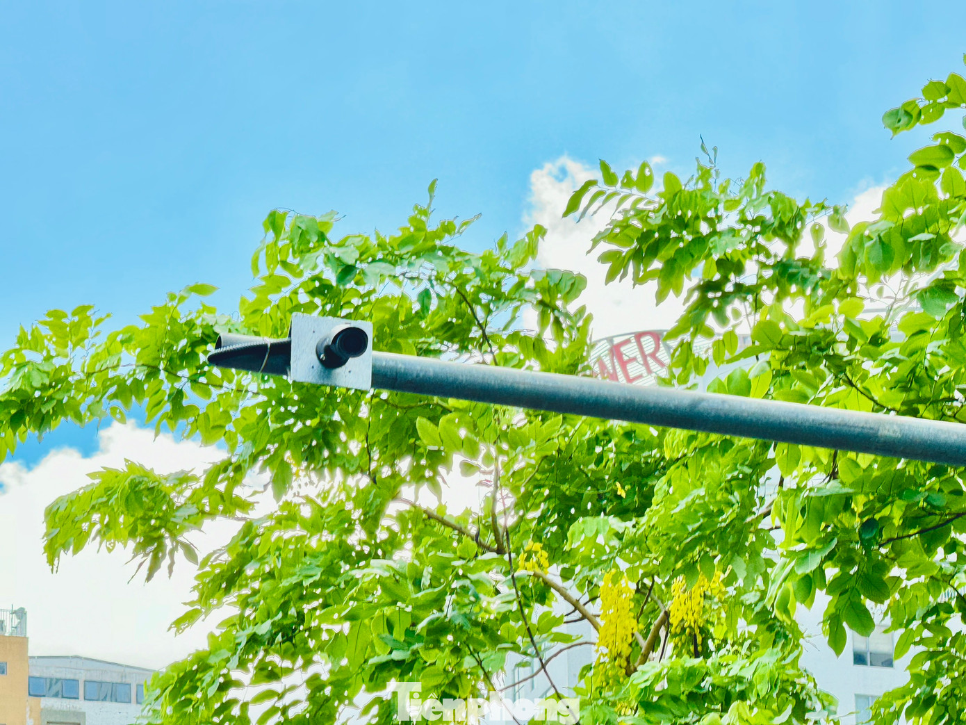 Hỗ trợ xử lý vi phạm trật tự an toàn giao thông; quản lý giao thông công cộng; quản lý sự cố; quản lý kết cấu hạ tầng giao thông; quản lý đỗ xe; quản lý thanh toán vé điện tử giao thông công cộng.