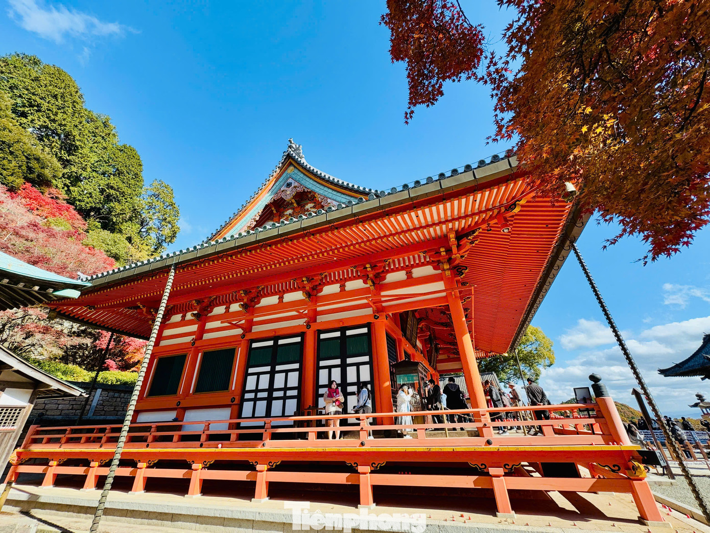 Daruma là loại búp bê lật đật đặc trưng của Nhật Bản với thân hình tròn, gương mặt mạnh mẽ kiên định, thậm chí hơi dữ tợn. Búp bê được làm bằng kỹ thuật bồi giấy truyền thống với những màu sắc sặc sỡ, mang ý nghĩa khác nhau: Màu đỏ may mắn, màu tím sức khỏe, màu vàng thịnh vượng… Daruma là loại búp bê lật đật đặc trưng của Nhật Bản với thân hình tròn, gương mặt mạnh mẽ kiên định, thậm chí hơi dữ tợn. Búp bê được làm bằng kỹ thuật bồi giấy truyền thống với những màu sắc sặc sỡ, mang ý nghĩa khác nhau: Màu đỏ may mắn, màu tím sức khỏe, màu vàng thịnh vượng…