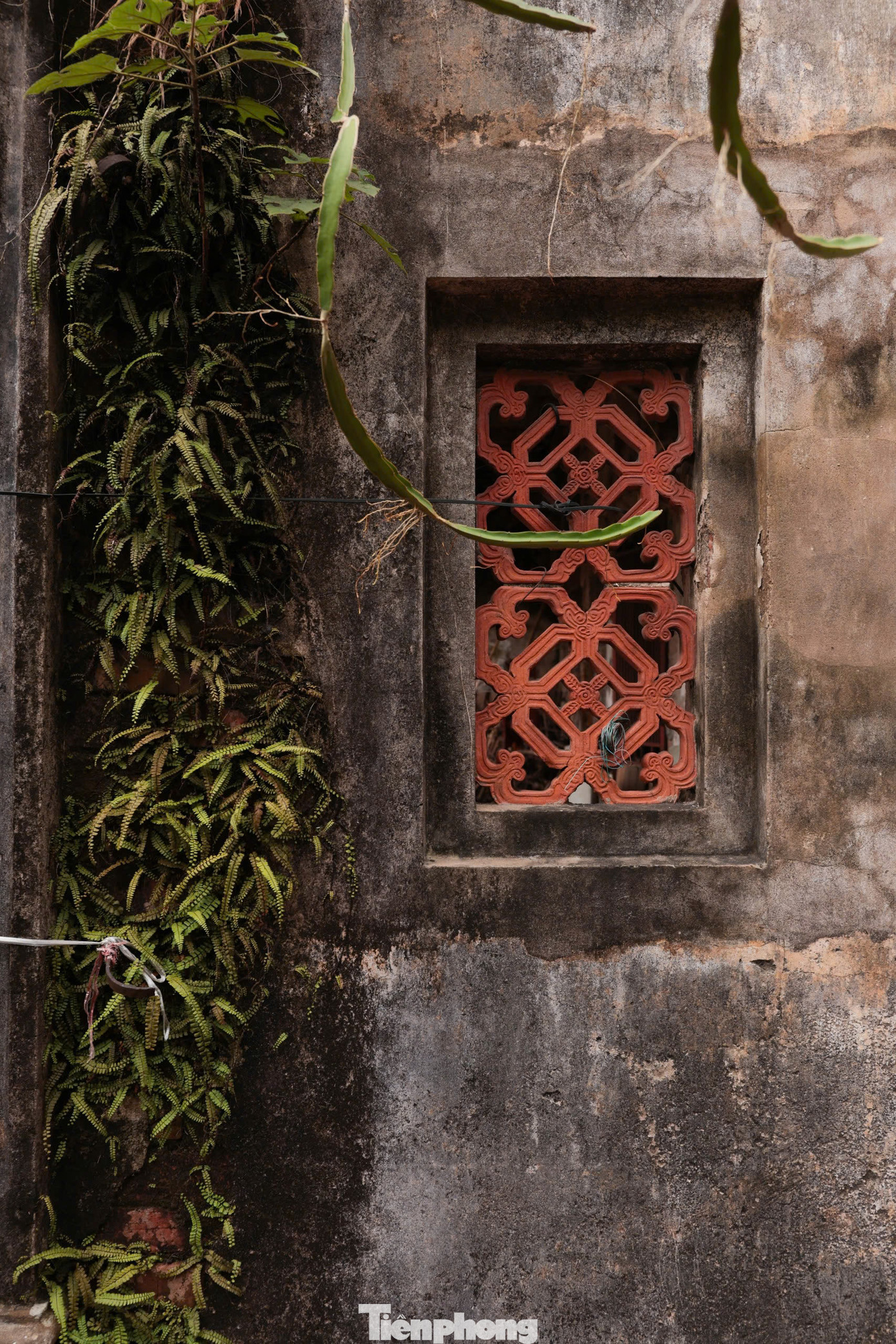 Nguồn gốc của câu nói này là bởi làng Vẽ nhiều quan, từ đời Trần đến đời Nguyễn, trong khoảng 500 năm, làng Đông Ngạc đã sản sinh ra 22 tiến sĩ, bảng nhãn, phó bảng và trên 400 cử nhân, tú tài. Mà theo quy định của triều đình phong kiến, làng nào có 10 người trở lên đỗ Tiến sĩ thì được coi là làng khoa bảng.