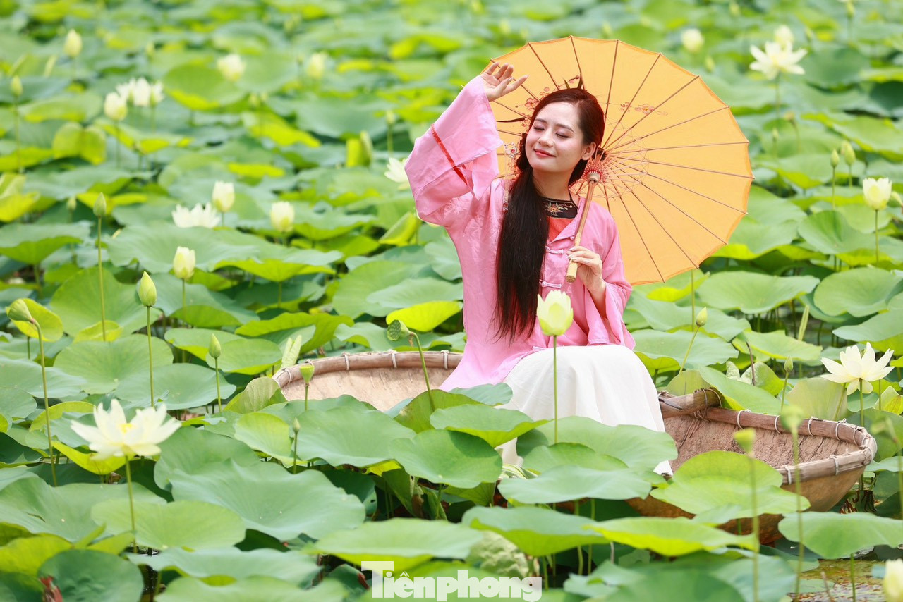 "Mình biết đến đầm sen này qua những người bạn. Mọi năm mình hay chụp với sen đỏ ở Hồ Tây, năm nay quyết định chụp sen trắng với áo dài", bạn T.Nga chia sẻ. "Mình biết đến đầm sen này qua những người bạn. Mọi năm mình hay chụp với sen đỏ ở Hồ Tây, năm nay quyết định chụp sen trắng với áo dài", bạn T.Nga chia sẻ.