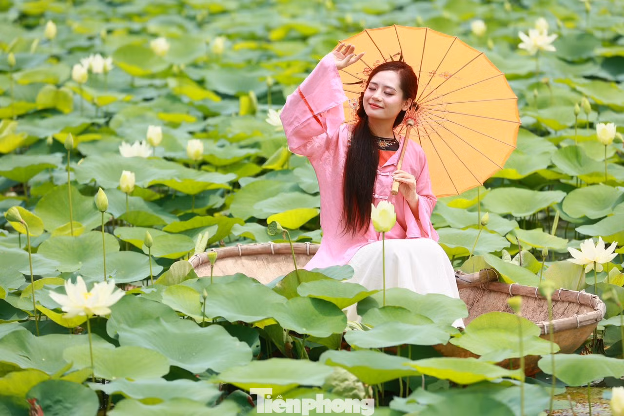 "Mình biết đến đầm sen này qua những người bạn. Mọi năm mình hay chụp với sen đỏ ở Hồ Tây, năm nay quyết định chụp sen trắng với áo dài", bạn T.Nga chia sẻ.