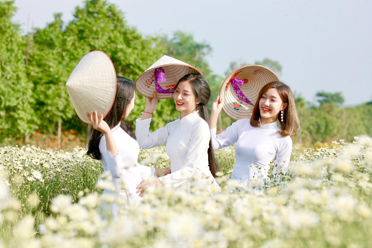 Những cánh hoa nhỏ trắng tinh khôi, nhụy vàng nhạt khiến giới trẻ Hà Nội thích thú, tìm đến tạo dáng chụp ảnh.