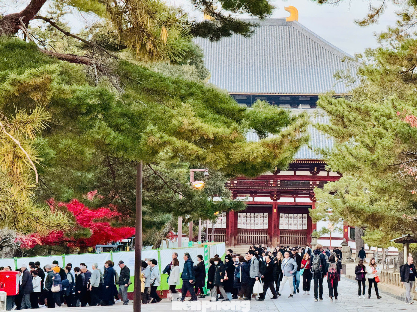 Từ lâu, công viên Nara luôn là một điểm đến nổi bật trên bản đồ du lịch Nhật Bản, là biểu tượng cho giá trị truyền thống lâu đời, tôn giáo và thể hiện vẻ đẹp của thiên nhiên. Du khách đến Nara vào mùa thu sẽ được đắm chìm trong cảnh sắc thiên nhiên với những rừng cây nhuốm sắc vàng, sắc đỏ; còn từ 3 đến đầu tháng 4 là thời điểm cả công viên như chìm đắm trong vẻ đẹp lãng mạn của những cánh hoa anh đào e ấp dưới nắng xuân.