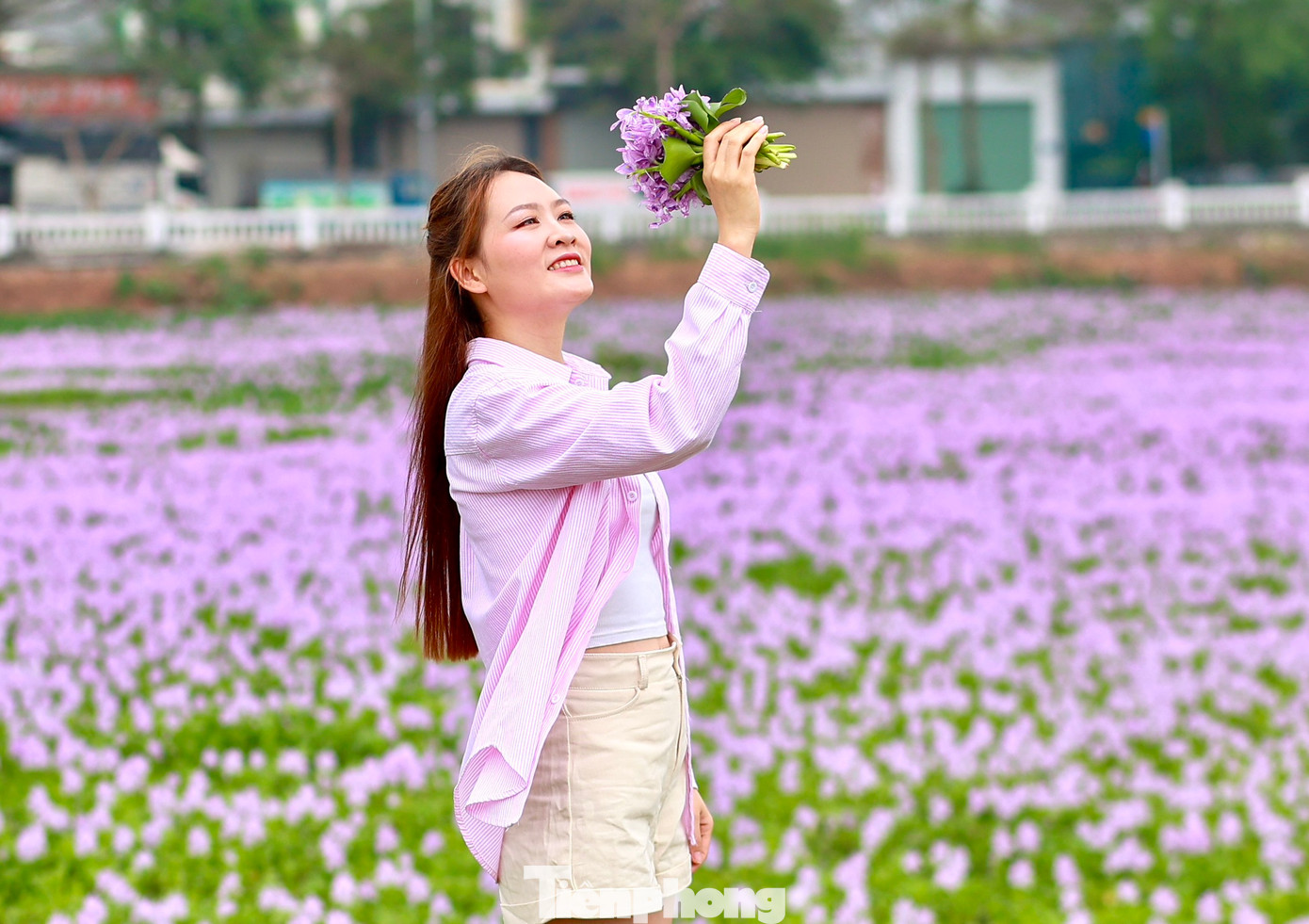 Nơi đây như được khoác lên mình một chiếc áo mới, thu hút giới trẻ tìm đến thưởng ngoạn và ghi lại những khoảnh khắc đẹp.