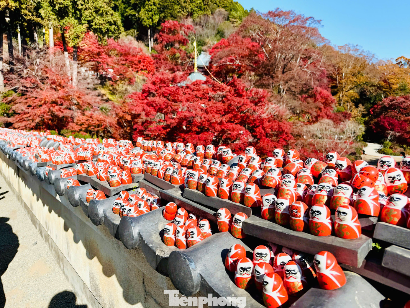 Daruma là loại búp bê lật đật đặc trưng của Nhật Bản với thân hình tròn, gương mặt mạnh mẽ kiên định, thậm chí hơi dữ tợn. Búp bê được làm bằng kỹ thuật bồi giấy truyền thống với những màu sắc sặc sỡ, mang ý nghĩa khác nhau: Màu đỏ may mắn, màu tím sức khỏe, màu vàng thịnh vượng… Daruma là loại búp bê lật đật đặc trưng của Nhật Bản với thân hình tròn, gương mặt mạnh mẽ kiên định, thậm chí hơi dữ tợn. Búp bê được làm bằng kỹ thuật bồi giấy truyền thống với những màu sắc sặc sỡ, mang ý nghĩa khác nhau: Màu đỏ may mắn, màu tím sức khỏe, màu vàng thịnh vượng…