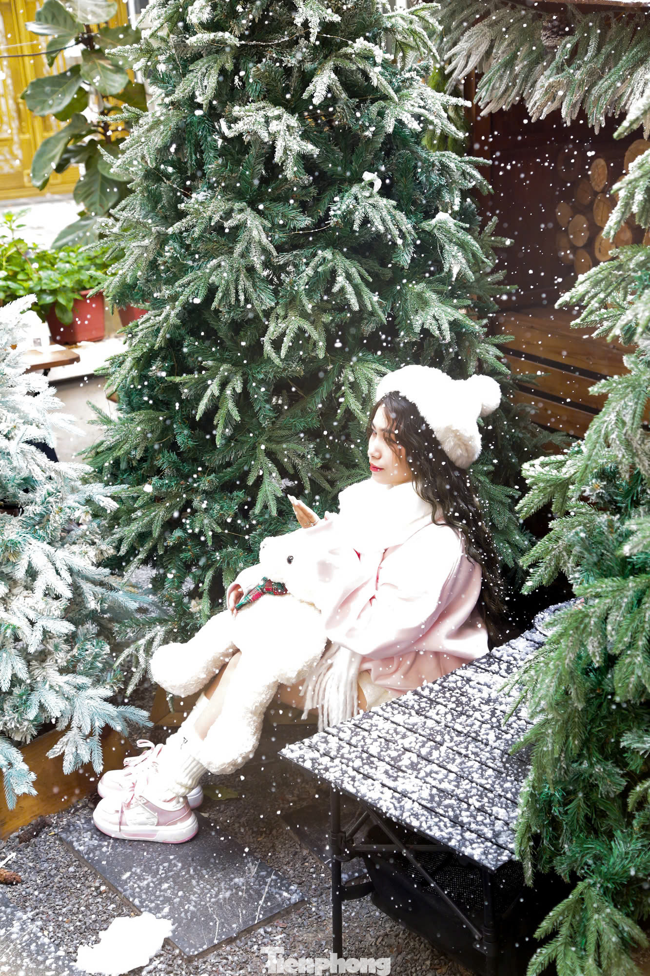 Các địa điểm này thu hút khách hàng bởi khung cảnh tuyết rơi độc đáo.