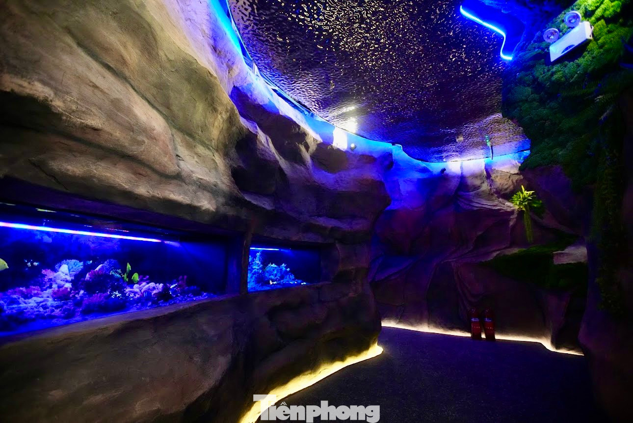 Thủy cung không nước - Waterless Aquarium ứng dụng công nghệ để mô phỏng sinh vật biển, mang đến một thế giới đại dương đầy màu sắc với nhiều hoạt động trải nghiệm thú vị dành cho khách tham quan.