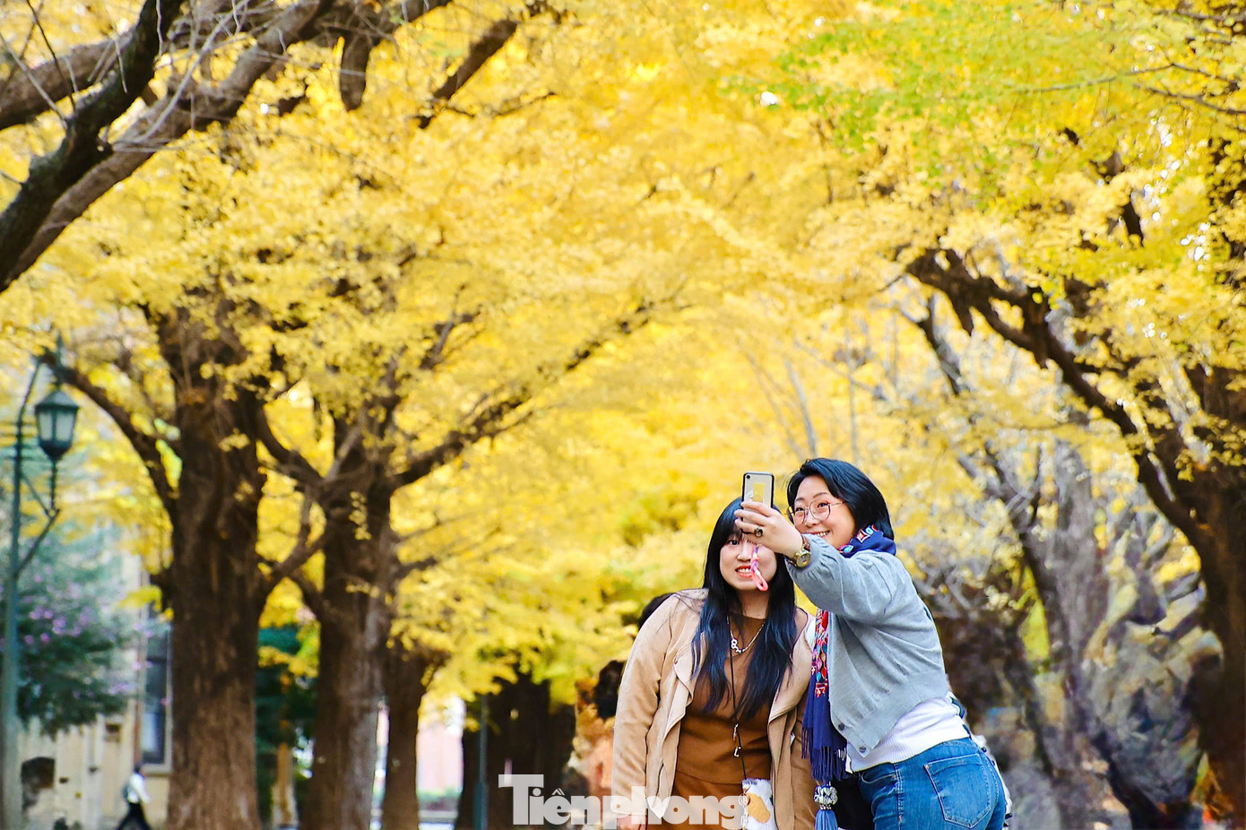 Khuôn viên trường sở hữu cảnh quan tươi đẹp, thiên nhiên thơ mộng. Chỉ cần giơ máy lên chụp thôi là đã có cho mình hàng trăm bức ảnh đẹp.