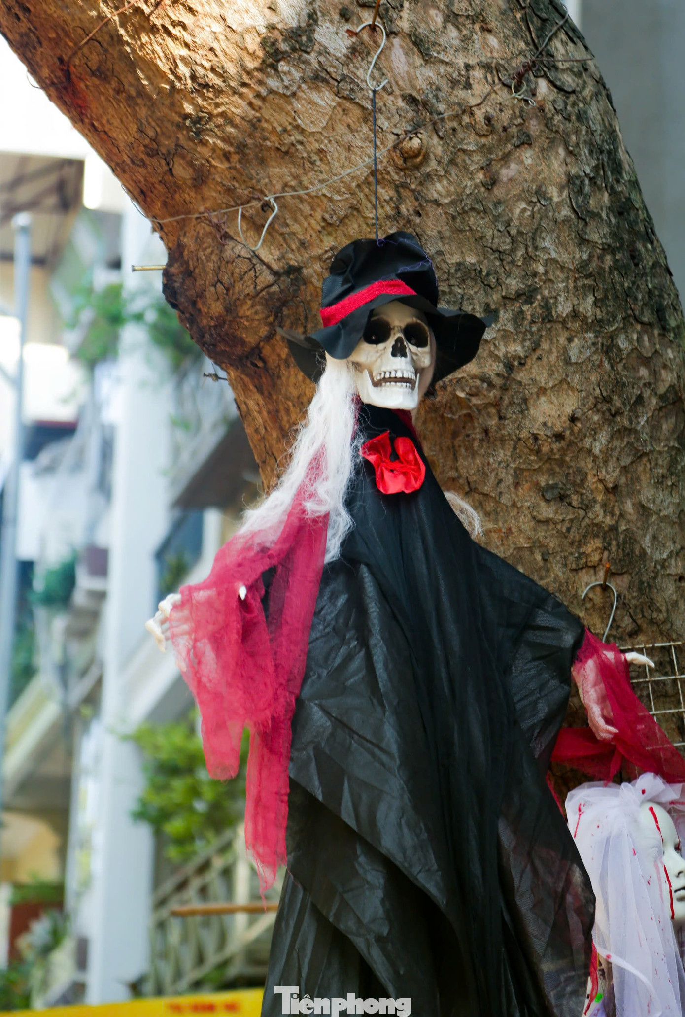 Những bộ trang phục đậm chất "ma quỷ'', đồ trang trí kinh dị treo lủng lẳng trên cành cây, tạo sự ghê rợn. Những bộ trang phục đậm chất "ma quỷ'', đồ trang trí kinh dị treo lủng lẳng trên cành cây, tạo sự ghê rợn.