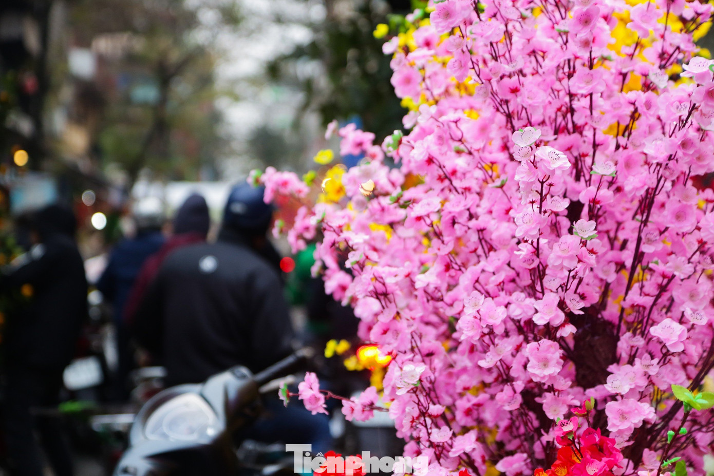 Du khách có thể chọn mua các mặt hàng đồ trang trí Tết phong phú với giá từ mấy chục ngàn đến vài trăm nghìn đồng.
