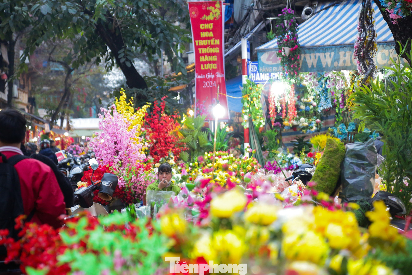 Năm nay, chợ hoa truyền thống phố cổ Hà Nội được tổ chức trên các tuyến phố Hàng Lược, Hàng Khoai, Hàng Rươi, Hàng Mã, không gian bích họa phố Phùng Hưng.