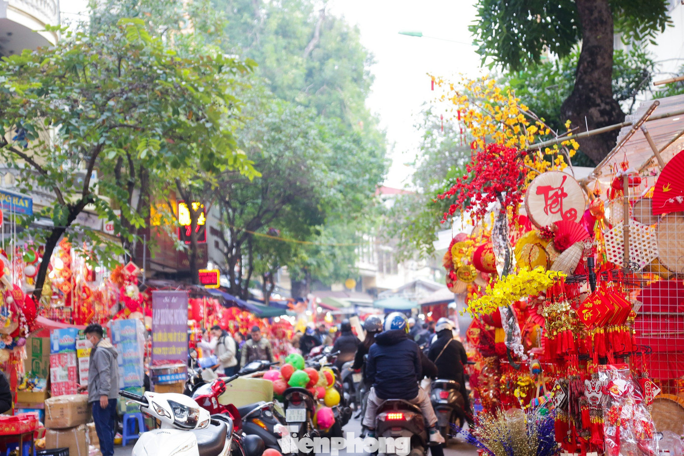 Không gian chợ hoa Tết được trang hoàng rực rỡ, ngập tràn sắc Xuân, luôn cuốn hút đông đảo người dân Thủ đô đến thưởng lãm.