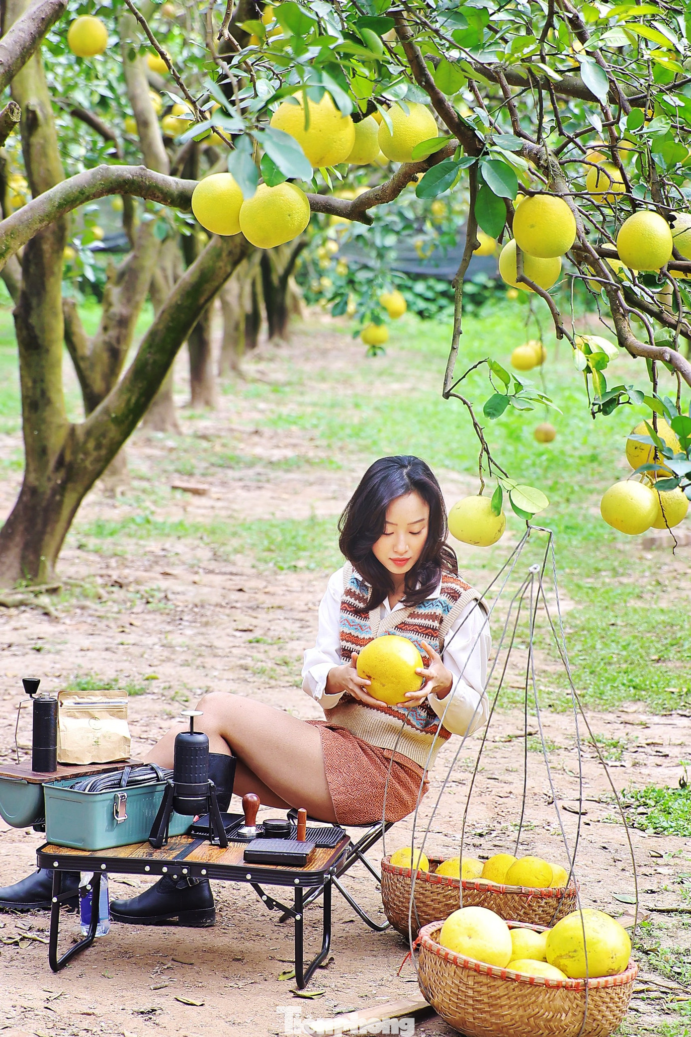 Trao đổi với Tiền Phong, ông Nguyễn Gia Dũng (chủ vườn bưởi) cho biết, trong năm sẽ có hai thời điểm người dân sẽ lui tới vườn bưởi đó là lúc bưởi đơm hoa và khi bưởi vào vụ chín. Nhà vườn mở dịch vụ đón khách tham quan với giá 50.000 đồng/người lớn và 25.000 đồng/trẻ em.