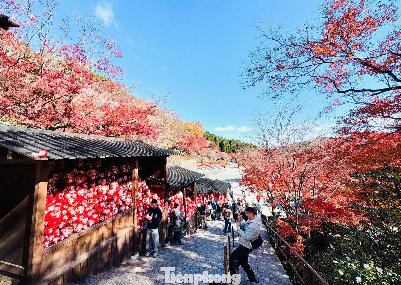 Ngôi chùa này được mệnh danh là chùa may mắn do được bảo hộ bởi búp bê Daruma (linh vật mang lại may mắn theo quan điểm của người Nhật). Ngôi chùa này được mệnh danh là chùa may mắn do được bảo hộ bởi búp bê Daruma (linh vật mang lại may mắn theo quan điểm của người Nhật).