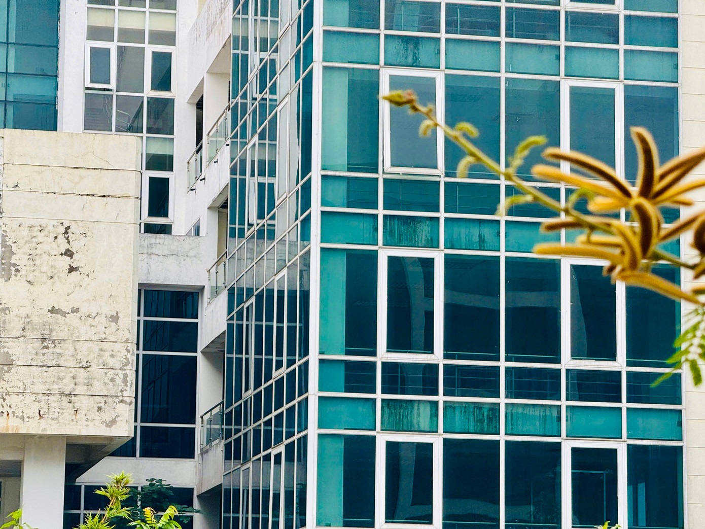 Qua ghi nhận thực tế của cơ quan chức năng, ở thời điểm hiện tại, các thiết bị thuộc Trung tâm đều đã xuống cấp, xung quanh các tòa nhà cỏ mọc um tùm. Qua ghi nhận thực tế của cơ quan chức năng, ở thời điểm hiện tại, các thiết bị thuộc Trung tâm đều đã xuống cấp, xung quanh các tòa nhà cỏ mọc um tùm.