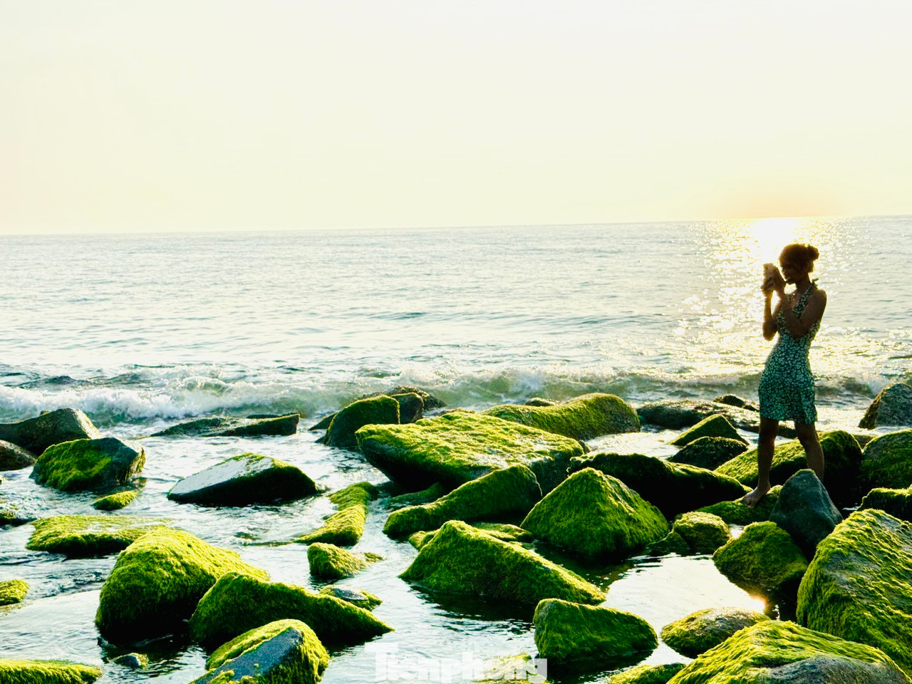 Bãi rêu xanh xóm Rớ trở thành một điểm đến hấp dẫn mới ở vùng đất hoa vàng cỏ xanh.