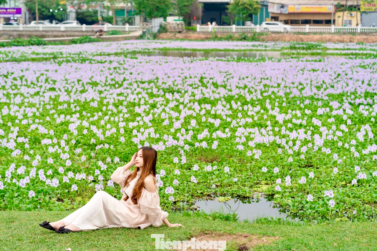 "Khung cảnh ở cánh đồng hoa thực sự khiến mình bất ngờ, mình đã biết đến hoa lục bình hay ở quê thường gọi là hoa bèo, nhưng không ngờ ngay ở Thủ đô Hà Nội lại có một khung cảnh đẹp và bình yên đến vậy", nhóm bạn trẻ chia sẻ.
