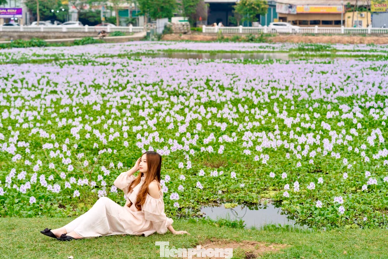 "Khung cảnh ở cánh đồng hoa thực sự khiến mình bất ngờ, mình đã biết đến hoa lục bình hay ở quê thường gọi là hoa bèo, nhưng không ngờ ngay ở Thủ đô Hà Nội lại có một khung cảnh đẹp và bình yên đến vậy", nhóm bạn trẻ chia sẻ.