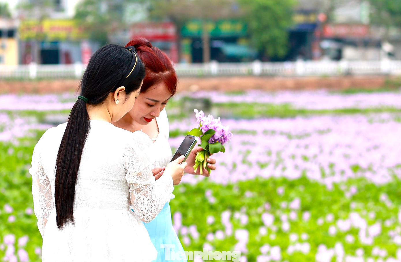 Nơi đây như được khoác lên mình một chiếc áo mới, thu hút giới trẻ tìm đến thưởng ngoạn và ghi lại những khoảnh khắc đẹp.