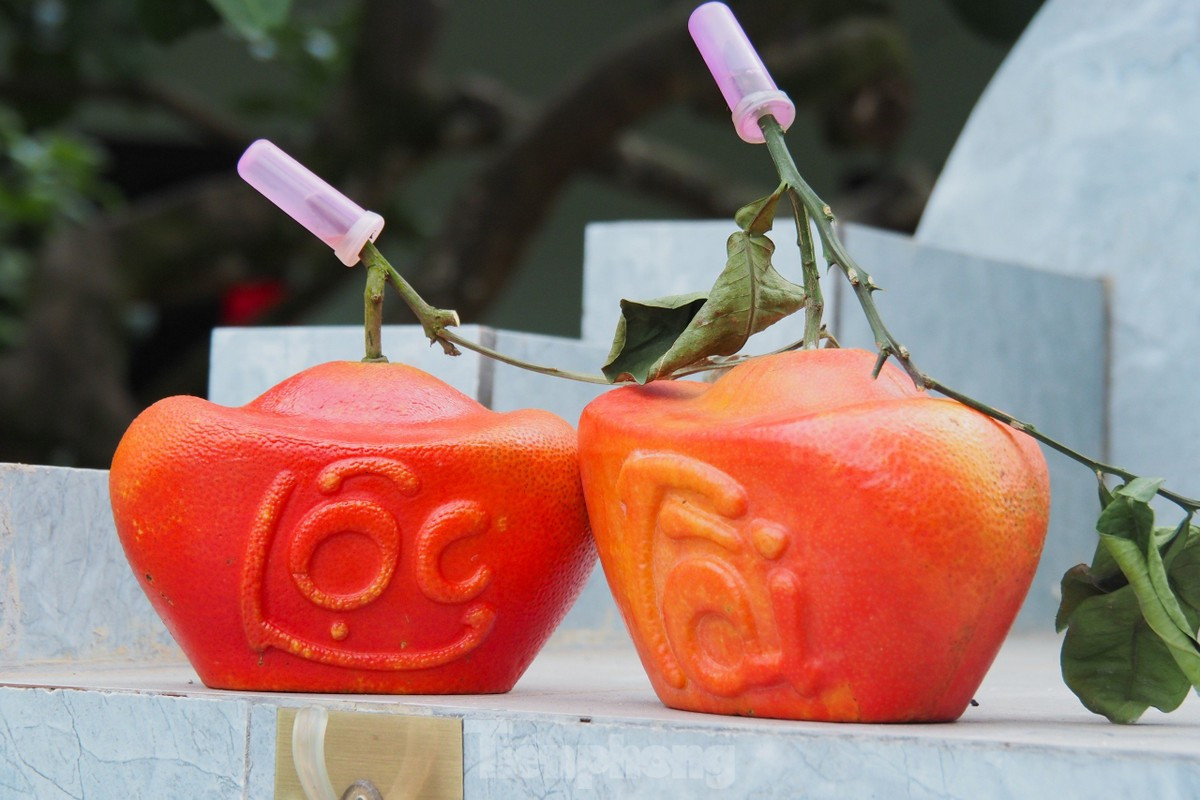 Bưởi đỏ Đông Cao được chia làm hai loại: bưởi bánh men và bưởi trái nũm được ép khuôn tạo hình hai chữ tài, lộc ngay từ khi quả còn non. Quá trình tạo hình bưởi đòi hỏi sự kỳ công từ người trồng. Bưởi đỏ Đông Cao được tiêu thụ ở hầu khắp các tỉnh thành trên cả nước. Bưởi đỏ Đông Cao được chia làm hai loại: bưởi bánh men và bưởi trái nũm được ép khuôn tạo hình hai chữ tài, lộc ngay từ khi quả còn non. Quá trình tạo hình bưởi đòi hỏi sự kỳ công từ người trồng. Bưởi đỏ Đông Cao được tiêu thụ ở hầu khắp các tỉnh thành trên cả nước.