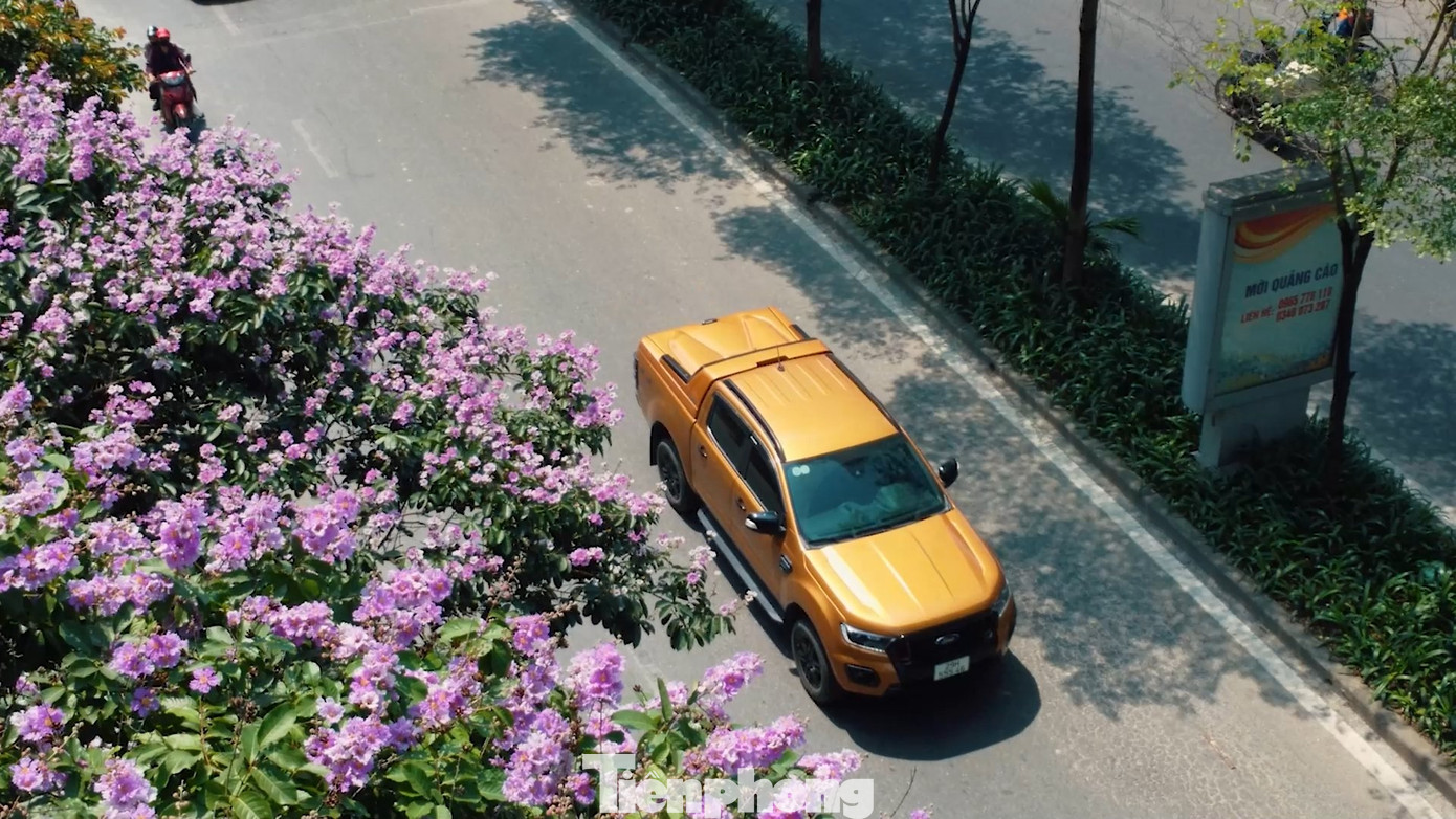 Những ngày đầu tháng 5, không khó để bắt gặp bằng lăng khoe sắc phủ tím trên các tuyến phố của Hà Nội. Màu tím biếc của bằng lăng khiến cho phố phường Hà Nội thêm lãng mạn, nên thơ hơn.