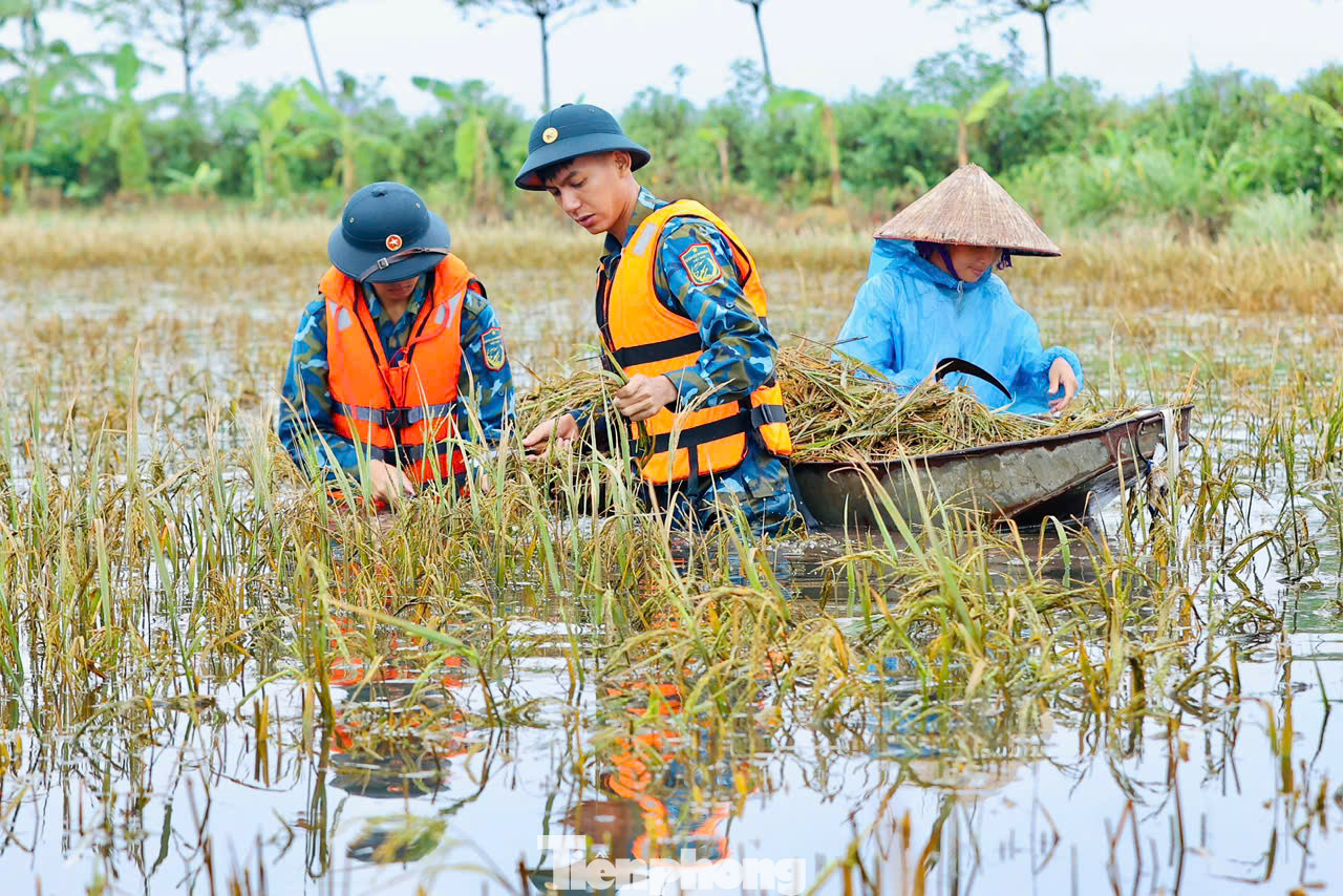 Trao đổi với PV báo Tiền Phong, Trung tá Đặng Đình Thịnh, Phó Chính ủy Trung đoàn 64/Sư đoàn 361/Quân chủng Phòng không - Không quân đóng quân trên địa bàn xã Đông Sơn huyện Chương Mỹ cho biết: "Thực hiện nhiệm vụ phối hợp với ban chỉ huy quân sự huyện Chương Mỹ khắc phục cơn bão số 3, Trung đoàn 64 đã cử 50 cán bộ chiến sĩ về địa bàn xã giúp bà con gặt lúa"