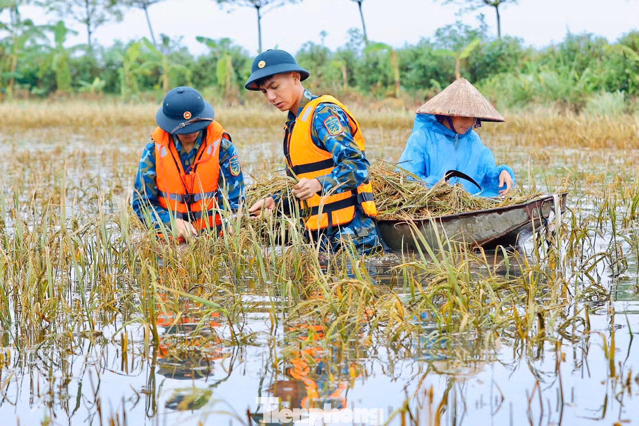 Trao đổi với PV báo Tiền Phong, Trung tá Đặng Đình Thịnh, Phó Chính ủy Trung đoàn 64/Sư đoàn 361/Quân chủng Phòng không - Không quân đóng quân trên địa bàn xã Đông Sơn huyện Chương Mỹ cho biết: "Thực hiện nhiệm vụ phối hợp với ban chỉ huy quân sự huyện Chương Mỹ khắc phục cơn bão số 3, Trung đoàn 64 đã cử 50 cán bộ chiến sĩ về địa bàn xã giúp bà con gặt lúa"
