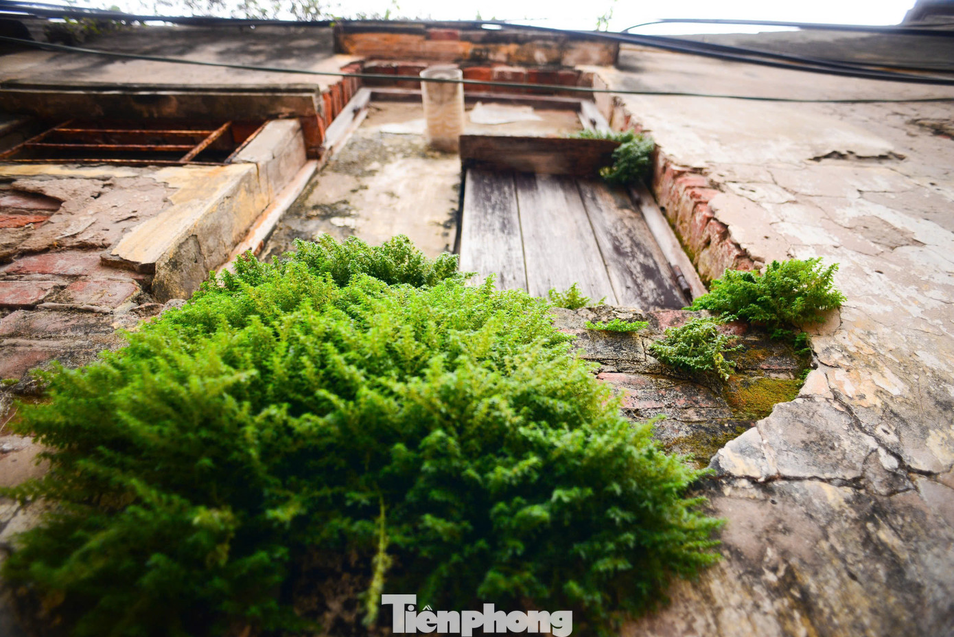 Làng Đông Ngạc là một trong số ít những ngôi làng được vinh dự biết đến với cái tên làng khoa bảng (làng tiến sĩ). Xuyên suốt chiều dài lịch sử, làng Đông Ngạc có rất nhiều những người trí thức học rộng tài cao.