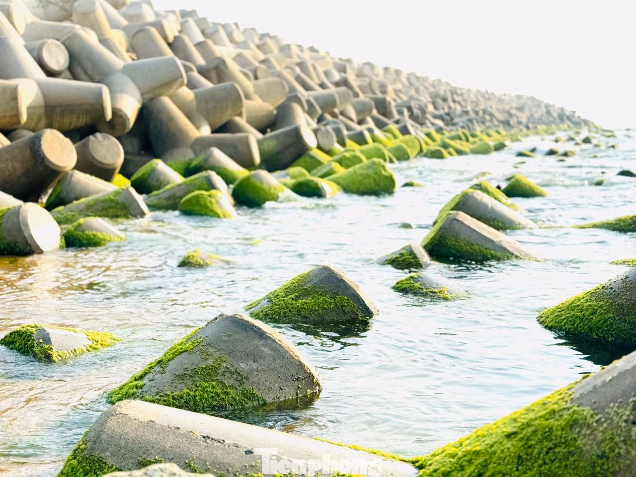 Rêu xanh mướt khiến những khối đá, trụ bê tông trở nên mềm mại hơn nhưng cũng dễ trơn trượt, do vậy người dân địa phương khuyên cho du khách khi xuống chơi nên mang giày bệt và cẩn trọng trong từng bước đi.