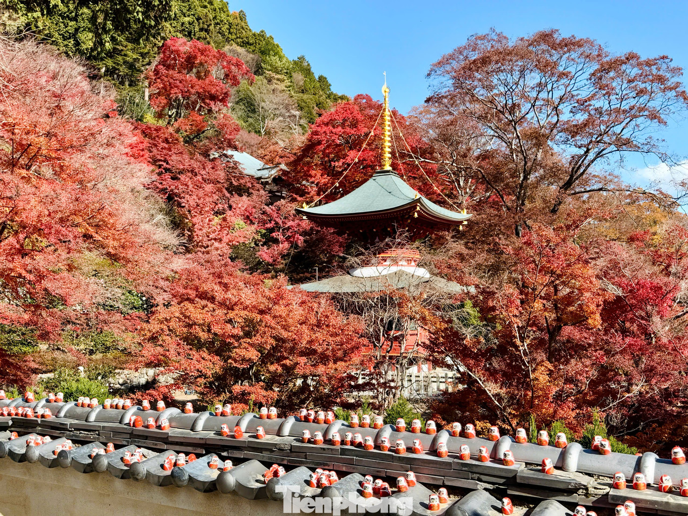 Điều đặc biệt của ngôi chùa này là rất nhiều tượng búp bê Daruma lớn nhỏ khác nhau xuất hiện bên trong chùa, hành lang hay triền núi. Búp bê Daruma gắn liền với văn hóa Nhật. Tượng Daruma có mặt ở mọi nơi trên xứ Phù Tang. Điều đặc biệt của ngôi chùa này là rất nhiều tượng búp bê Daruma lớn nhỏ khác nhau xuất hiện bên trong chùa, hành lang hay triền núi. Búp bê Daruma gắn liền với văn hóa Nhật. Tượng Daruma có mặt ở mọi nơi trên xứ Phù Tang.