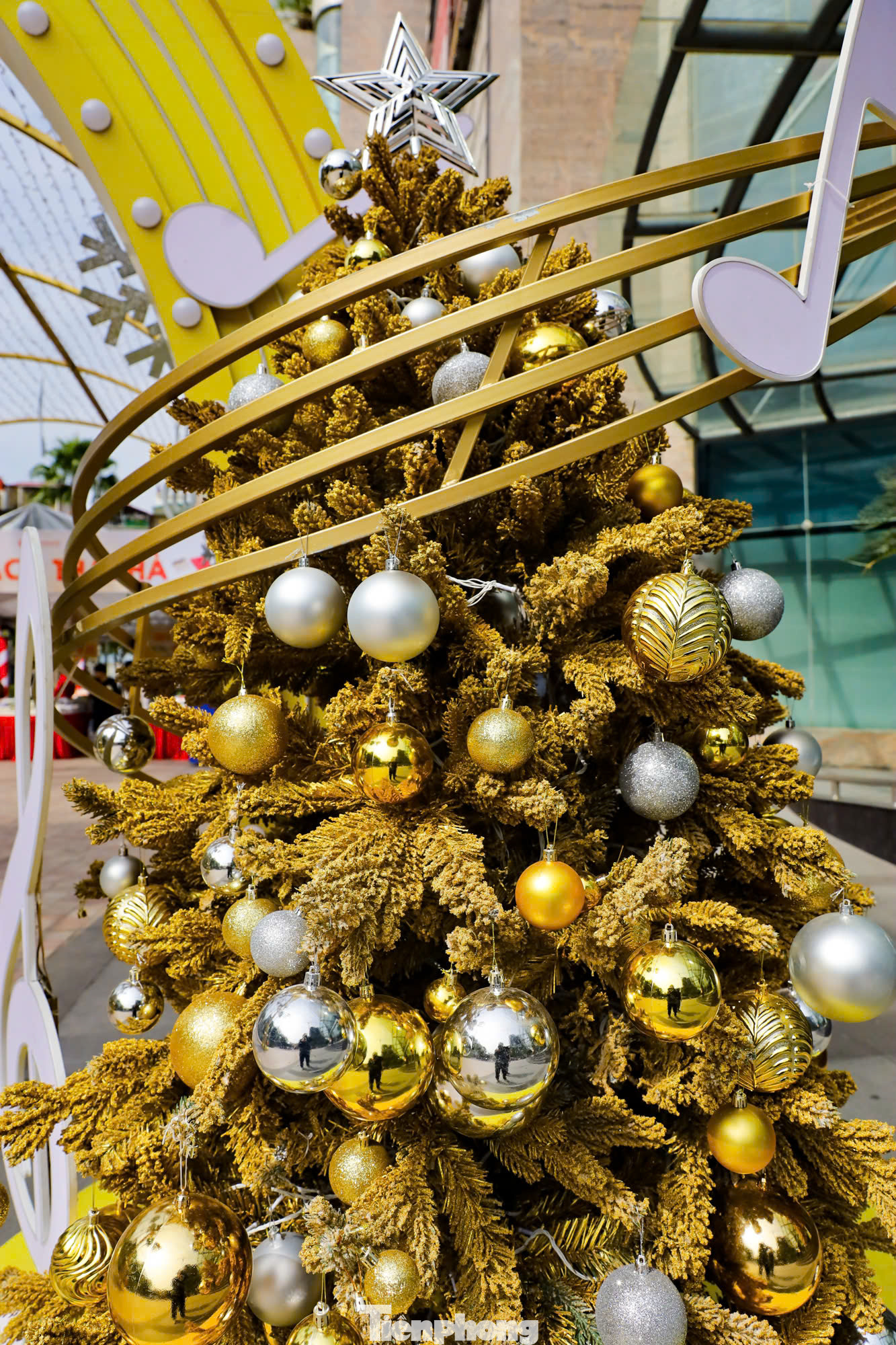 Khu trung tâm thương mại ở phố Nguyễn Chí Thanh nổi bật với khuông nhạc trang trí trên sảnh kính của tòa thang máy cùng cây thông với sắc mầu vàng lộng lẫy.