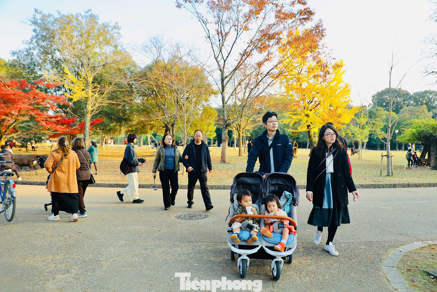 Công viên Nara tọa lạc tại trung tâm thành phố Nara, tỉnh Nara (Nhật Bản), là một trong những công viên lâu đời nhất của Nhật Bản. Được thành lập vào năm 1880, công viên trải dài trên diện tích 660 ha gắn liền với nhiều công trình nổi tiếng của địa phương, như: Chùa Todaiji, Đền Kasuga Taisha, Đền Kofukuji, Bảo tàng quốc gia Nara, Núi Wakakusa, Hồ Sagi-ike...