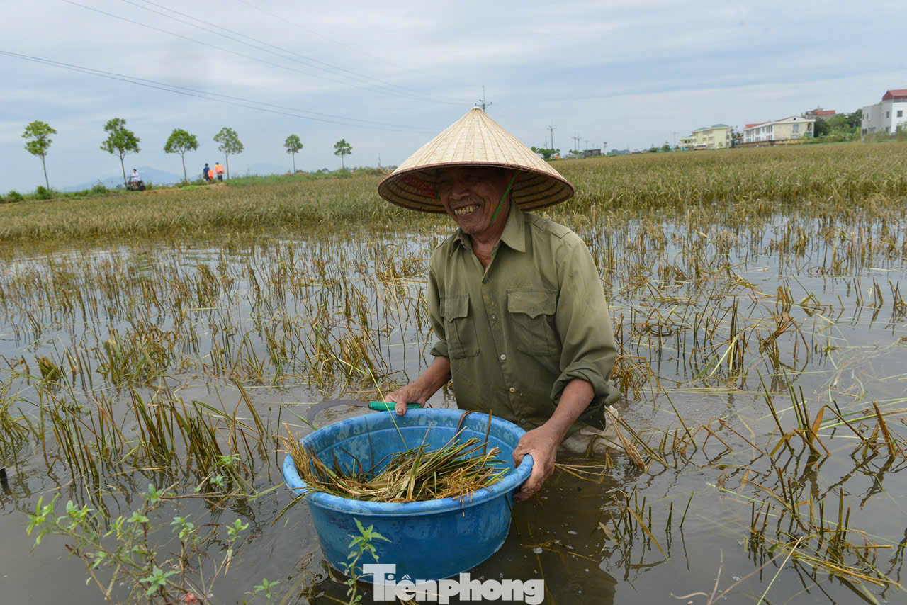 "Nhà tôi có tổng 1 mẫu ruộng nhưng chỉ có hai ông bà, bà nhà tôi thì đau ốm thường xuyên, các con đi lấy chồng xa, may được các chiến sỹ giúp đỡ gặp lúa", ông Thiều nói thêm.