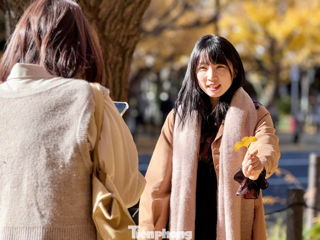 Khu Meiji Jingu Gaien với 150 cây ngân hạnh được trồng thẳng lối con đường hơn 300 m. Lá rụng tạo thành tấm thảm vàng tự nhiên, thu hút rất nhiều du khách đến tham quan, chụp ảnh.