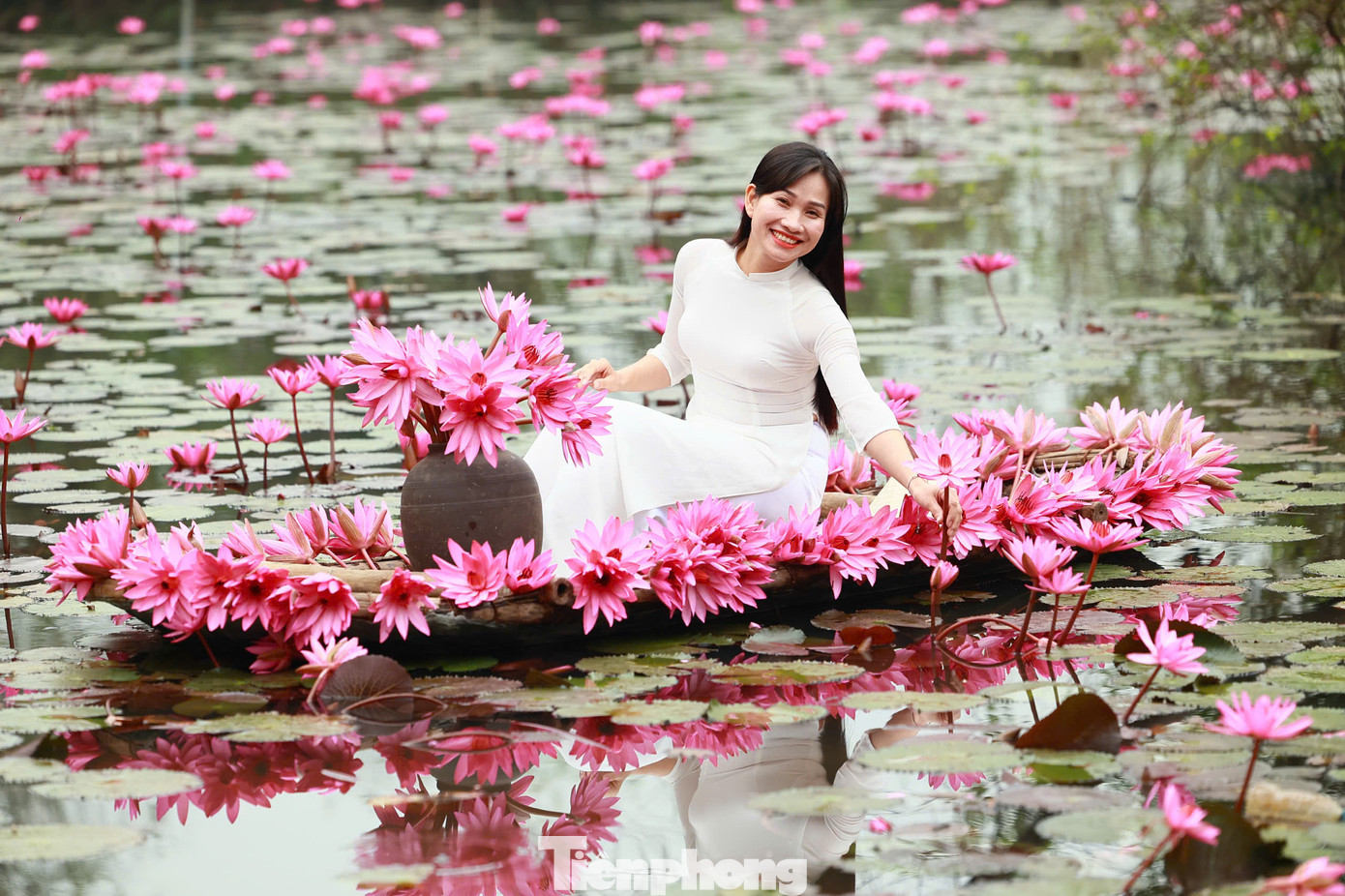 Suối Yến (huyện Mỹ Đức, Hà Nội) là địa danh nổi tiếng gắn với danh thắng Chùa Hương - nam thiên đệ nhất động của Việt Nam. Khi mỗi độ gió heo may, chớm đông về, hoa súng nở hồng suối Yến thu hút rất đông du khách đến tham quan, ngắm cảnh và check-in sống ảo.