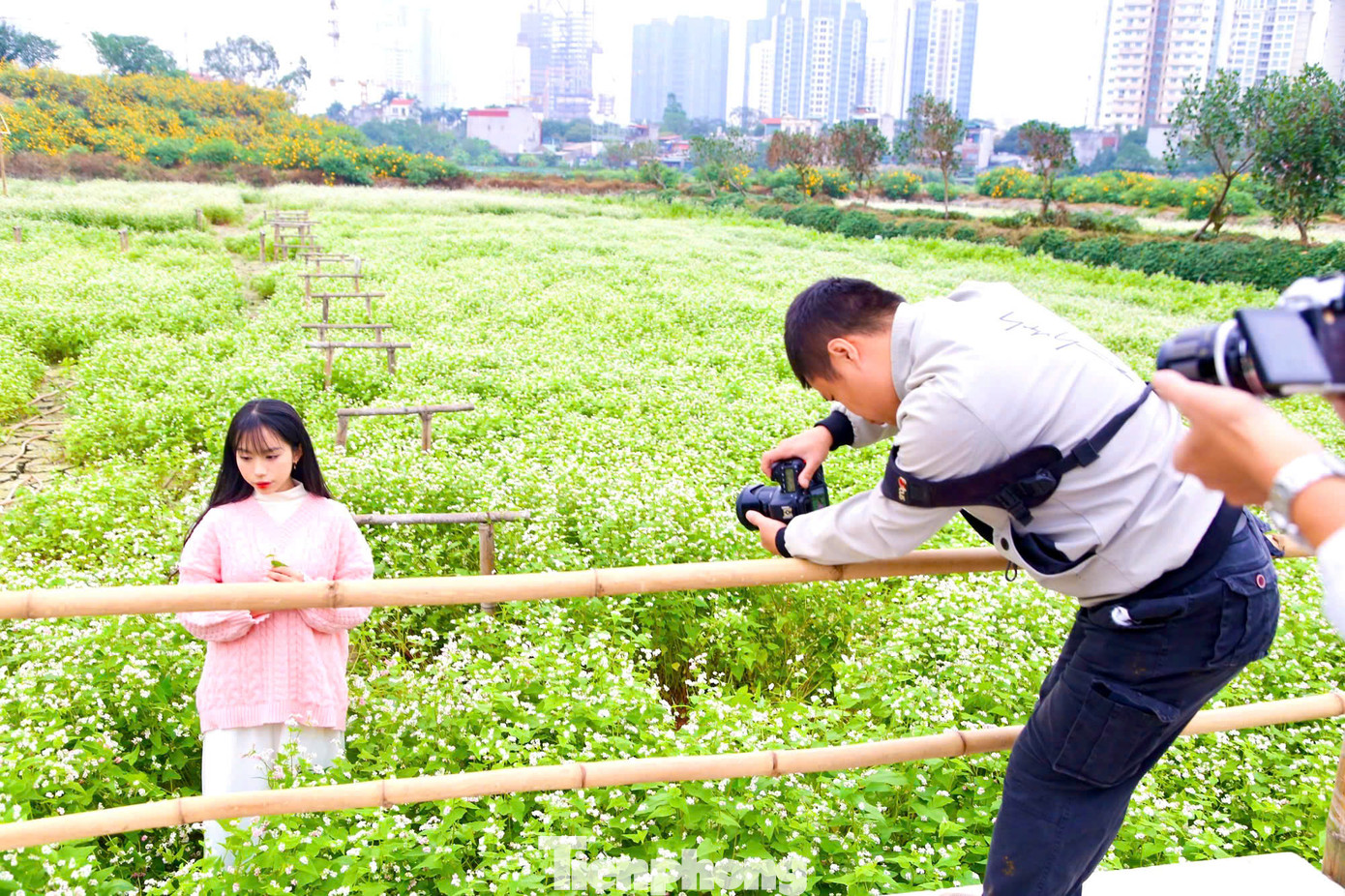 Những cánh hoa mỏng manh, nhỏ bé miền sơn cước bung nở giữa lòng Thủ đô thu hút nhiều du khách đến tham quan, chụp hình.