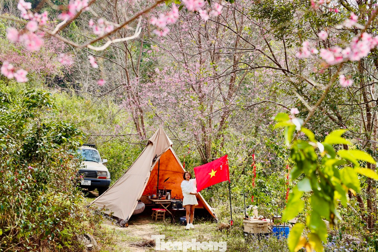 Nhiều du khách không quản ngại đường xa đã tìm về cắm trại qua đêm, đón bình minh và săn những khoảnh khắc đẹp nhất của hoa trong sương sớm.