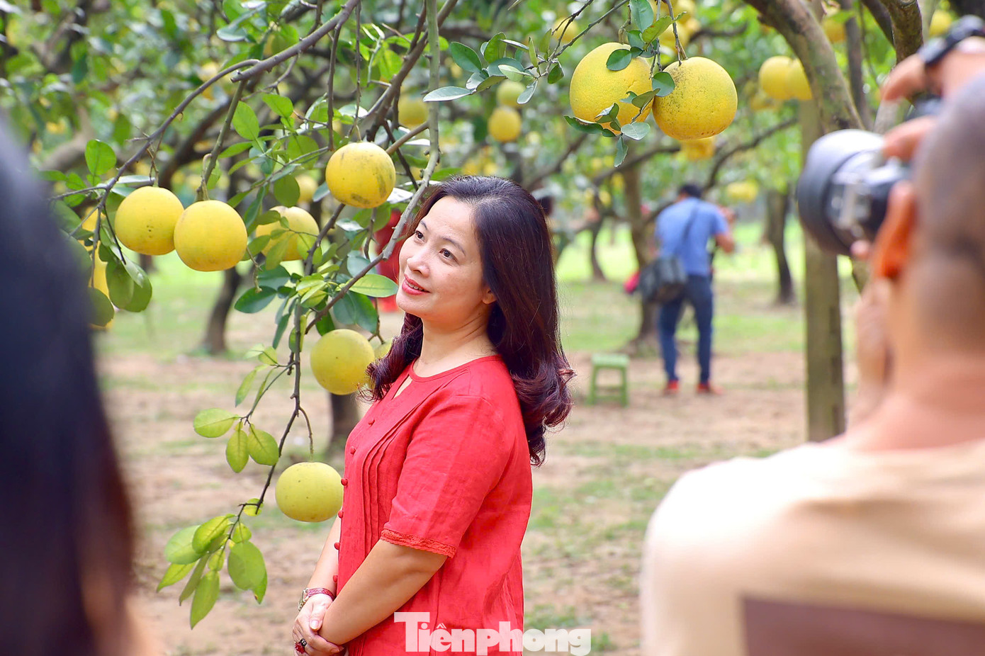 Nhiều gia đình cũng lựa chọn khung cảnh tuyệt đẹp nơi đây để lưu giữ khoảnh khắc trọng đại cho cả đại gia đình trong dịp kỷ niệm quan trọng.