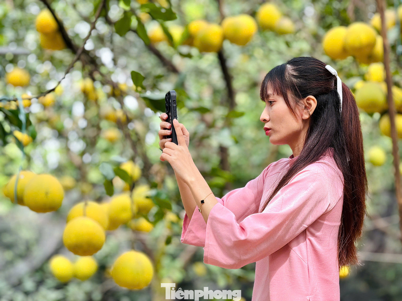 Để có những bức ảnh đẹp nhất tại vườn bưởi, nhiều nhóm bạn còn kỳ công đầu tư trang điểm và thuê nhiếp ảnh gia chuyên nghiệp đi cùng. Nhà vườn cũng có sẵn dịch vụ cho thuê trang phục, đạo cụ để phục vụ nhu cầu chụp ảnh của du khách tại đây,