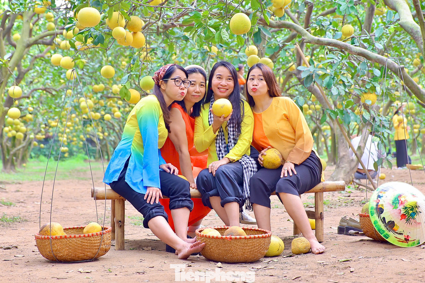 Để có những bức ảnh đẹp nhất tại vườn bưởi, nhiều nhóm bạn còn kỳ công đầu tư trang điểm và thuê nhiếp ảnh gia chuyên nghiệp đi cùng. Nhà vườn cũng có sẵn dịch vụ cho thuê trang phục, đạo cụ để phục vụ nhu cầu chụp ảnh của du khách tại đây,