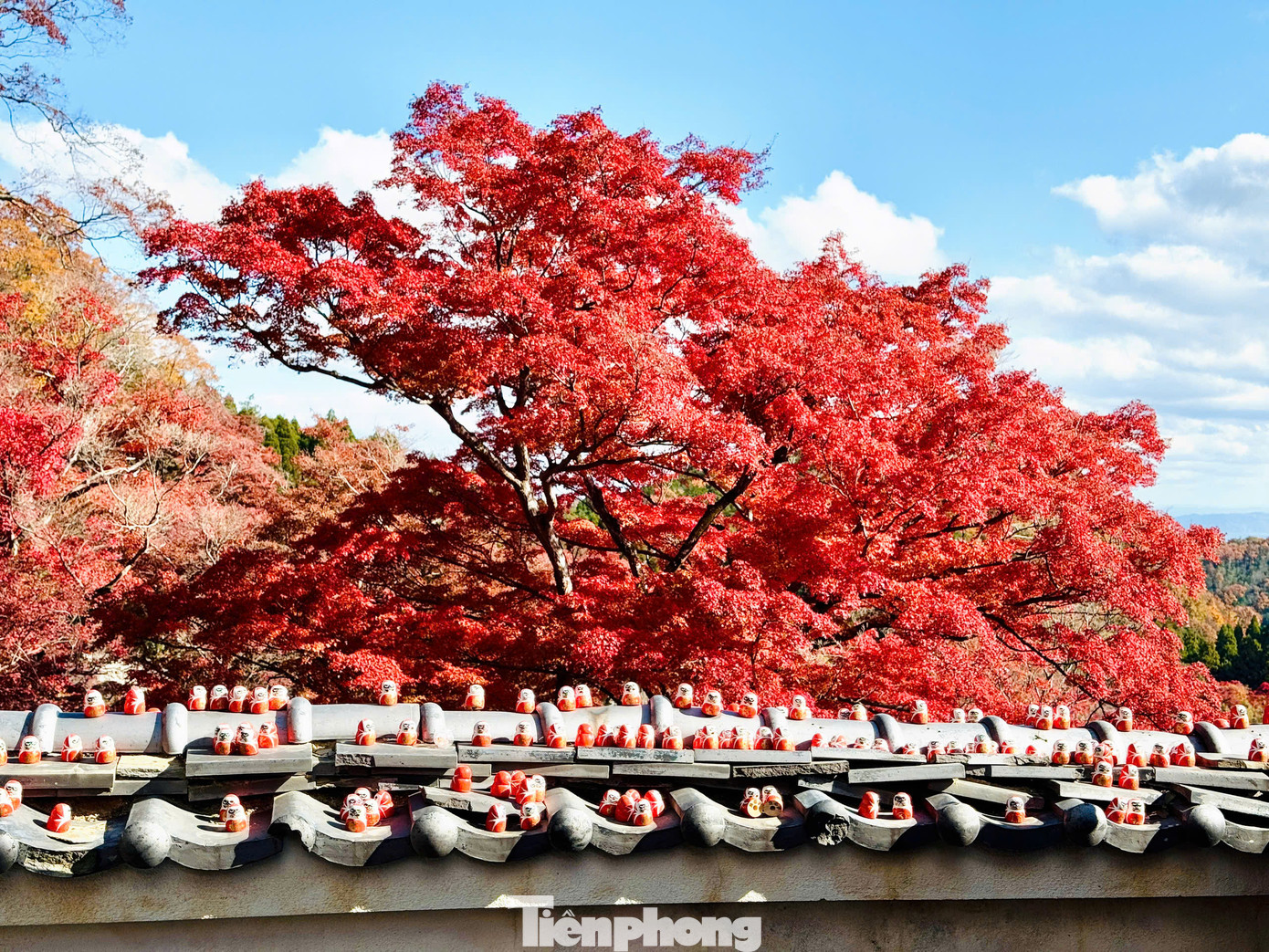 Từ lâu, cầu may với Daruma tại chùa Katsuo-ji không chỉ thu hút người Nhật mà còn hấp dẫn du khách đến từ khắp nơi trên thế giới. Từ lâu, cầu may với Daruma tại chùa Katsuo-ji không chỉ thu hút người Nhật mà còn hấp dẫn du khách đến từ khắp nơi trên thế giới.