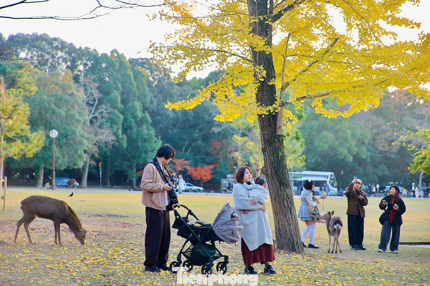 Công viên Nara tọa lạc tại trung tâm thành phố Nara, tỉnh Nara (Nhật Bản), là một trong những công viên lâu đời nhất của Nhật Bản. Được thành lập vào năm 1880, công viên trải dài trên diện tích 660 ha gắn liền với nhiều công trình nổi tiếng của địa phương, như: Chùa Todaiji, Đền Kasuga Taisha, Đền Kofukuji, Bảo tàng quốc gia Nara, Núi Wakakusa, Hồ Sagi-ike...