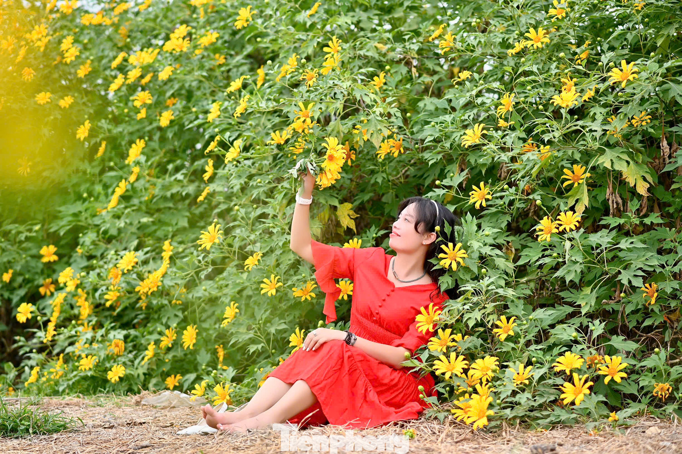 Bạn Bích Liên, (quận Cầu Giấy) chia sẻ: "Khi đến vườn hoa ở Xuân Đỉnh, bản thân rất bất ngờ trước vẻ đẹp của nơi đây, tôi cùng nhóm bạn vô cùng thích thú, đã có 1 buổi chụp hình ưng ý".