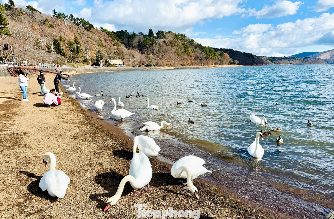 Từ vị trí này, du khách có thể chiêm ngưỡng ngọn núi Phú Sĩ, biểu tượng của Nhật Bản ngay phía sau.