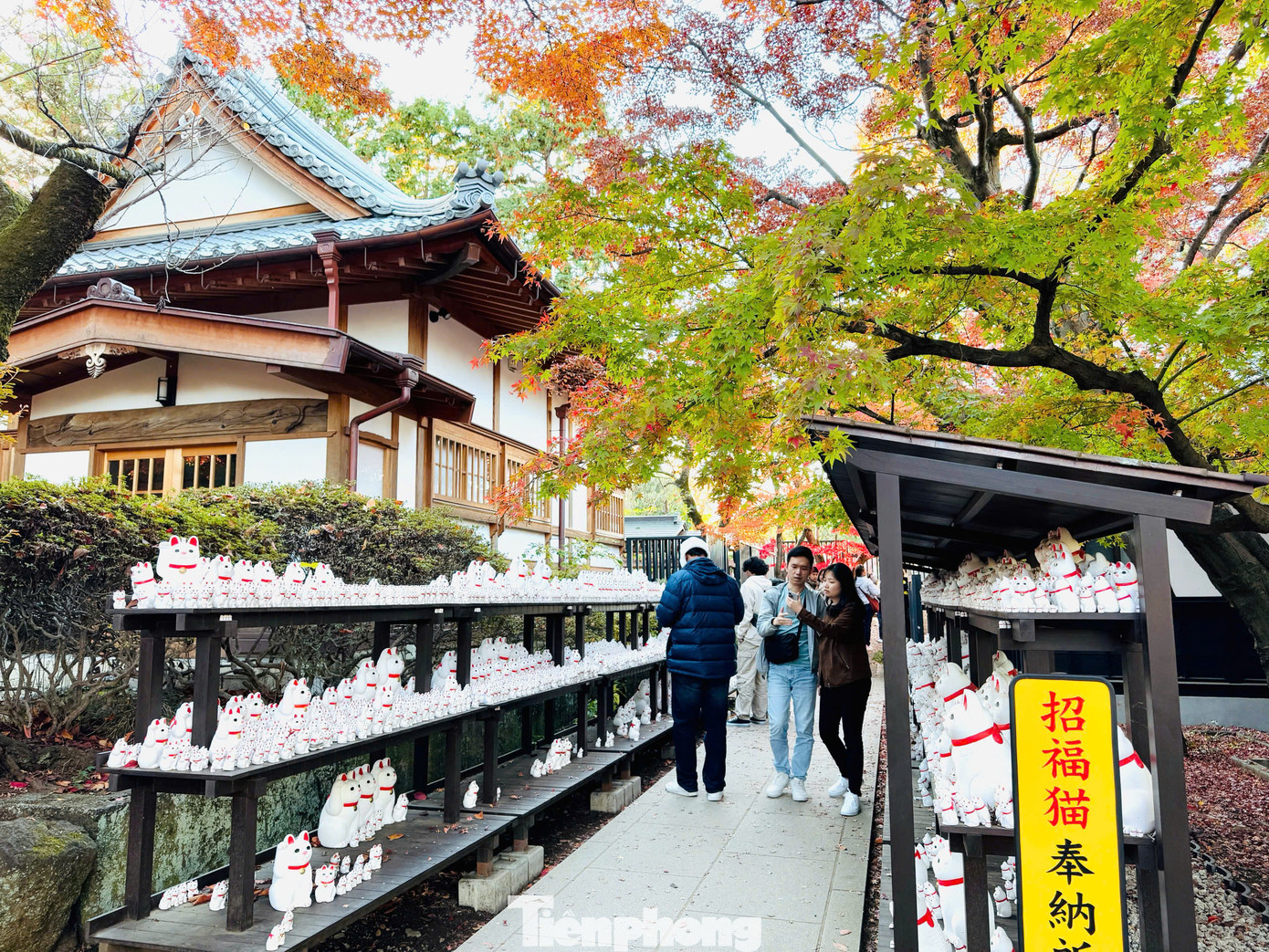 Đền Gotokuji Tokyo từ lâu đã trở thành địa điểm du lịch tâm linh đặc sắc thu hút rất đông du khách thăm quan. Du khách không chỉ khám phá vẻ đẹp đặc sắc của đền Gotokuji mà còn tìm hiểu thêm được ý nghĩa của những con mèo thần tài Maneki- neko đáng yêu.